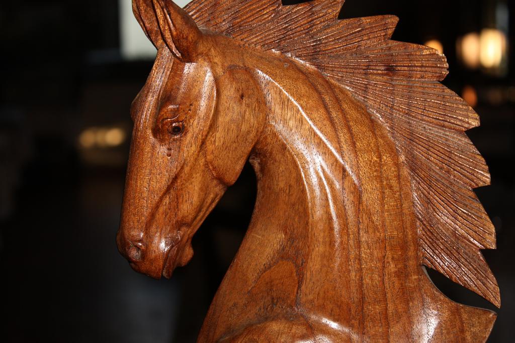 Logis Hotel Restaurant Le Flamant Rose Camargue Albaron Buitenkant foto