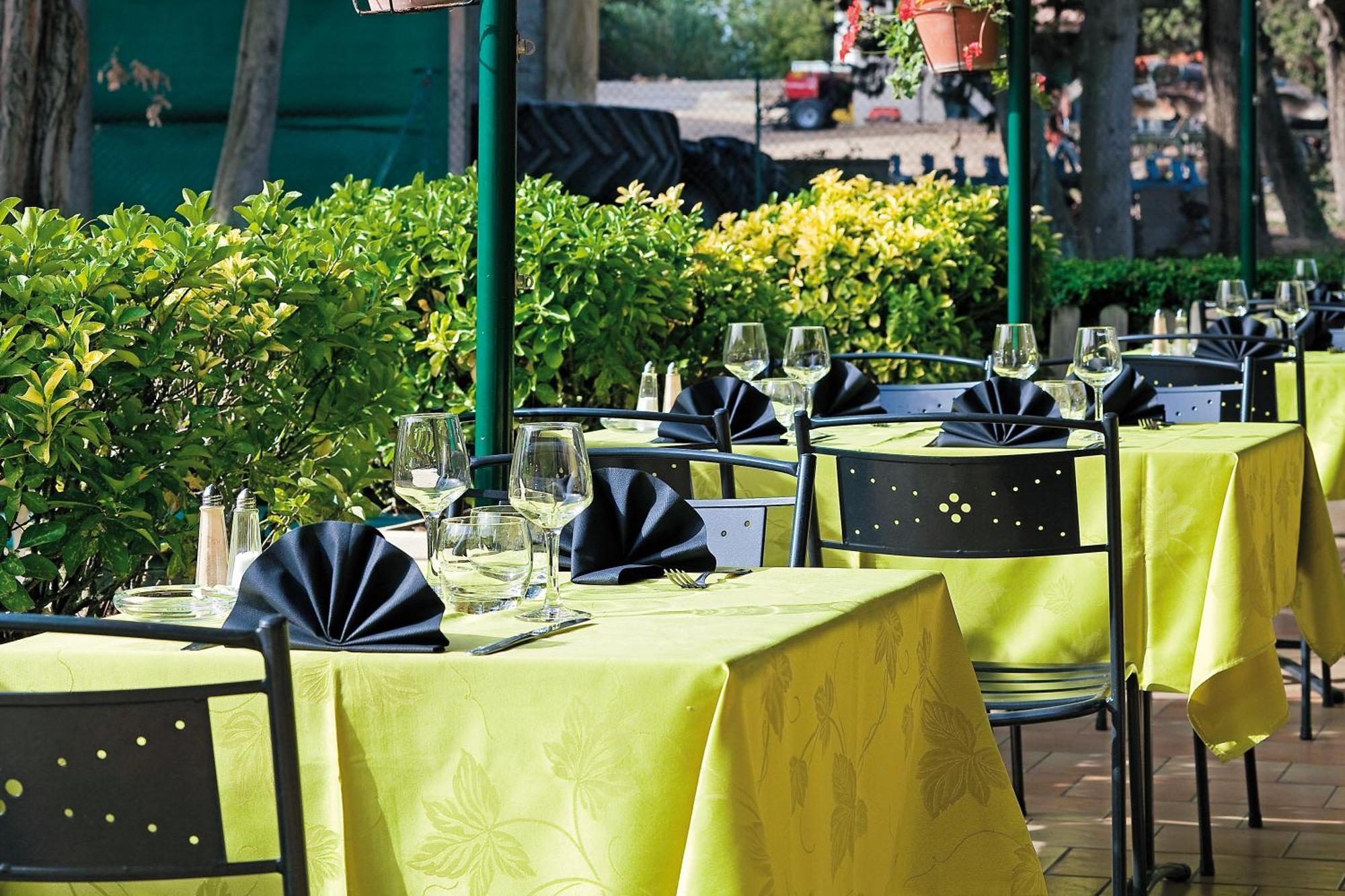 Logis Hotel Restaurant Le Flamant Rose Camargue Albaron Buitenkant foto